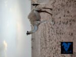 ⁦بكره حقه⁩ - الصورة ⁦3⁩