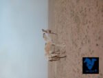 ⁦بكره حقه⁩ - الصورة ⁦2⁩