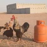 ديك براهما